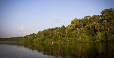 Parque Nacional Natural Yaigojé Apaporis