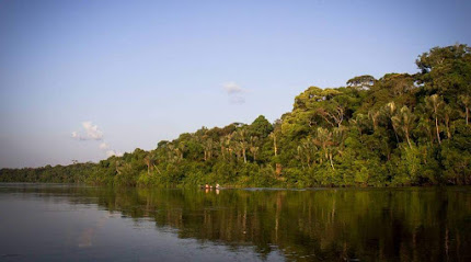 Parque Nacional Natural Yaigojé Apaporis